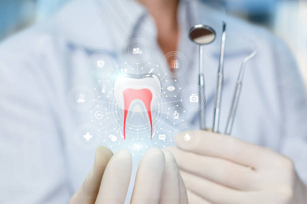 Best Preventive Dentistry  in Seneca, MO